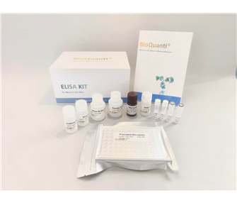 Rat ALT (Alanine Transaminase) ELISA Kit